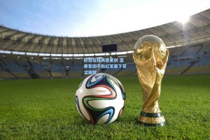 欧冠征程再遭重创 蓝黑军团不敌红军吞下苦涩连败