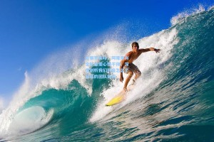 龙赛罗疾呼，阿隆索与全队亟需心理干预，深度剖析我们到底怎么了背后的团队危机