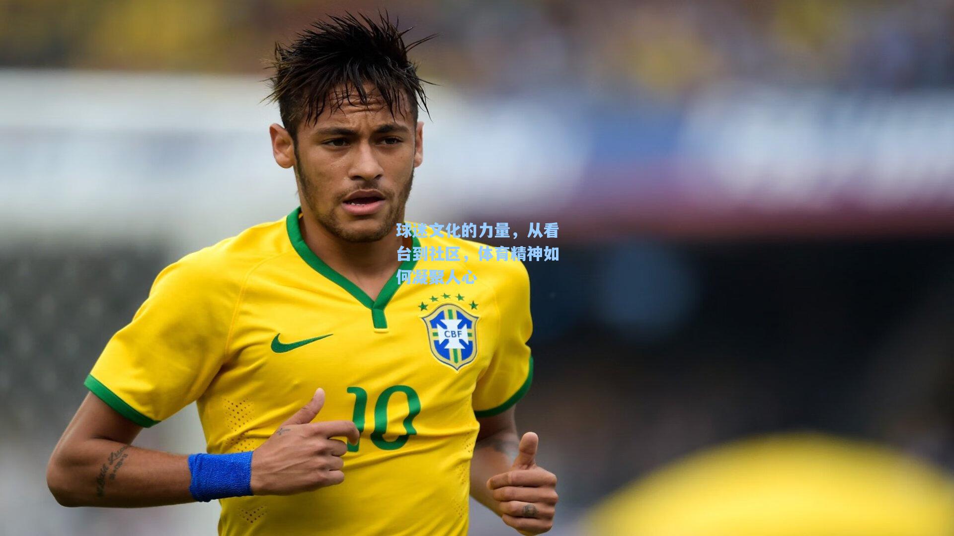 球迷文化的力量,从看台到社区,体育精神如何凝聚人心