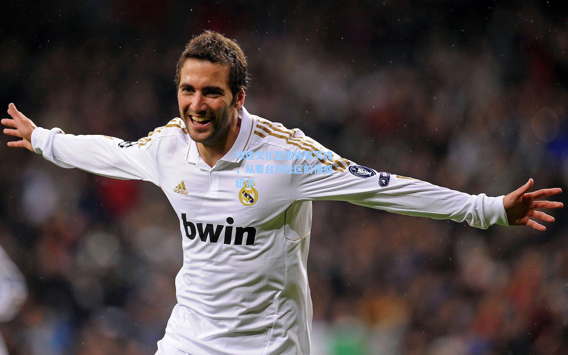 球迷文化塑造体育灵魂，从看台到社区的情感纽带