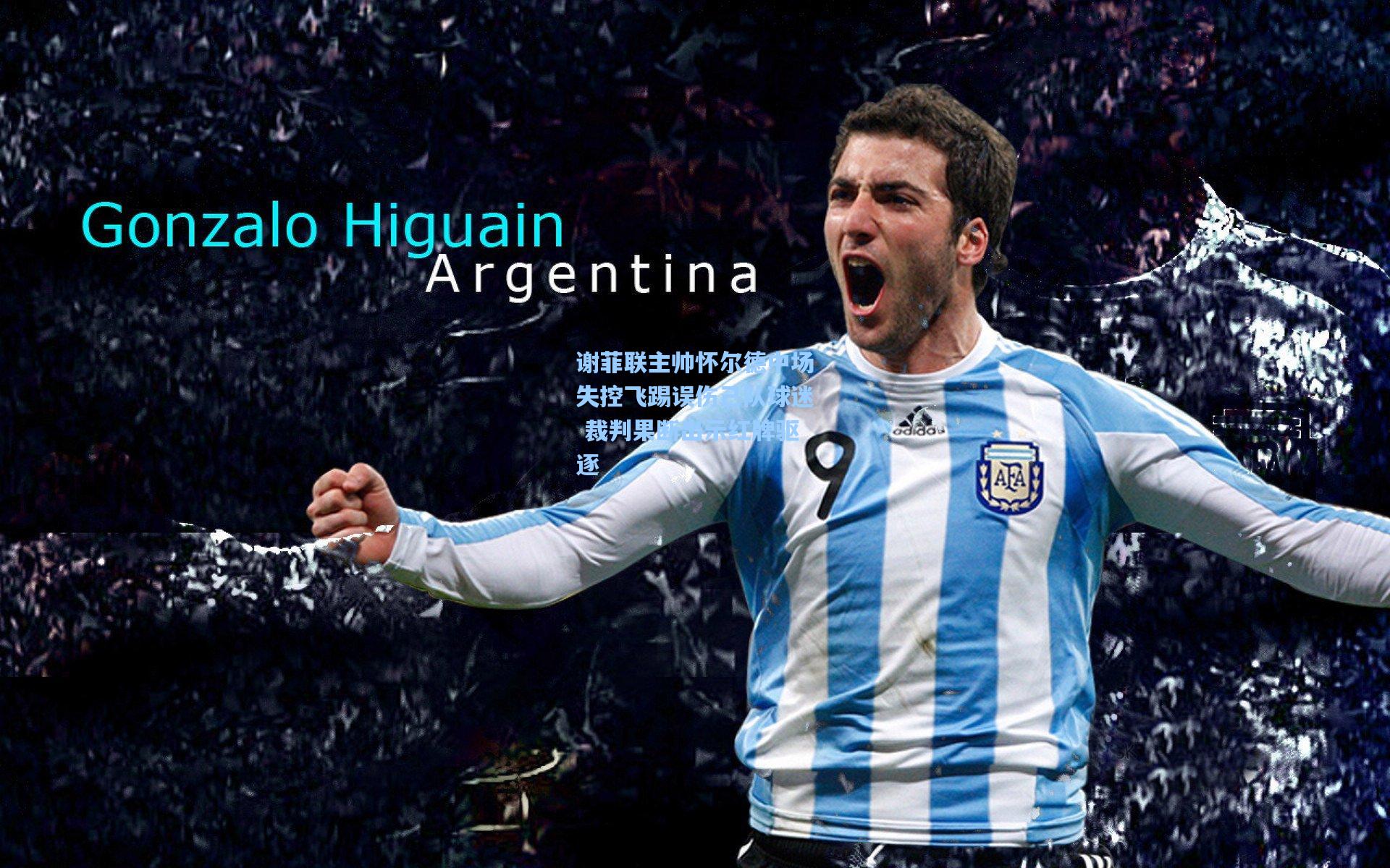 谢菲联主帅怀尔德中场失控飞踢误伤己队球迷 裁判果断出示红牌驱逐