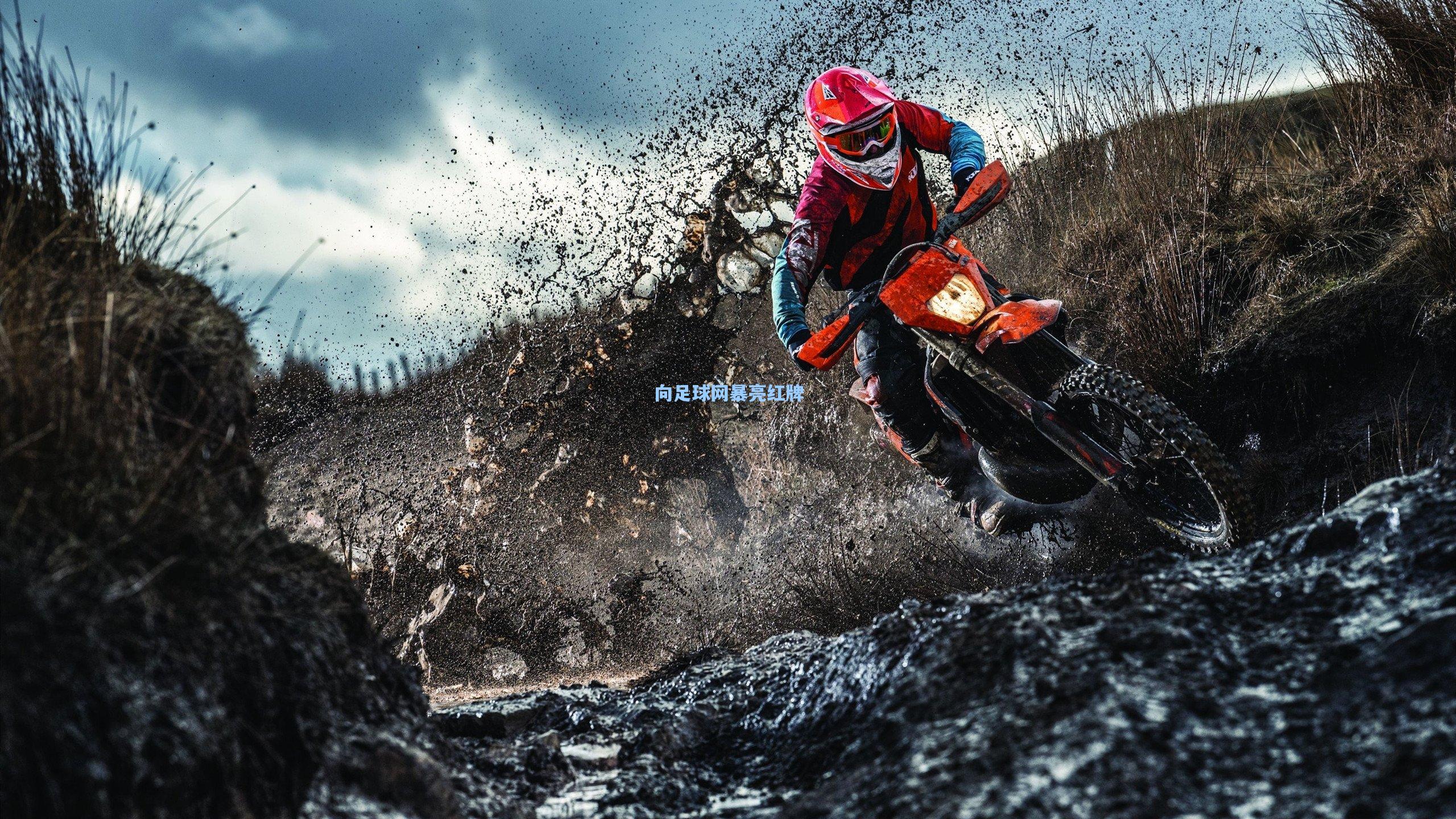 向足球网暴亮红牌